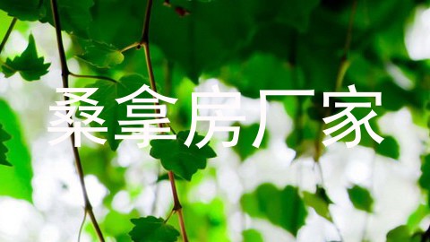 桑拿房厂家