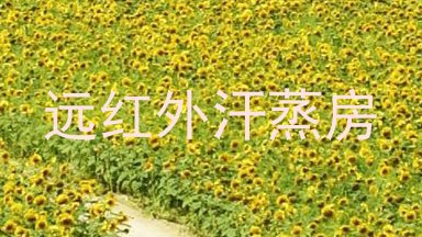 远红外汗蒸房