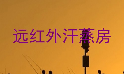 远红外汗蒸房