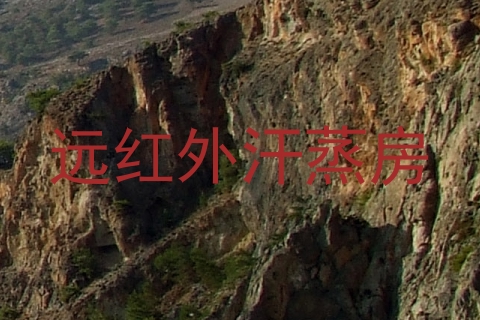 远红外汗蒸房