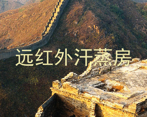远红外汗蒸房
