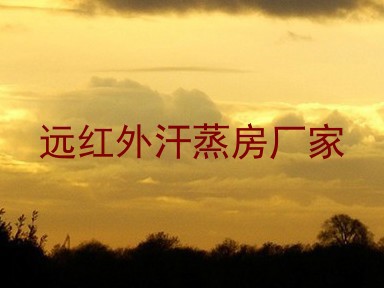 远红外汗蒸房厂家