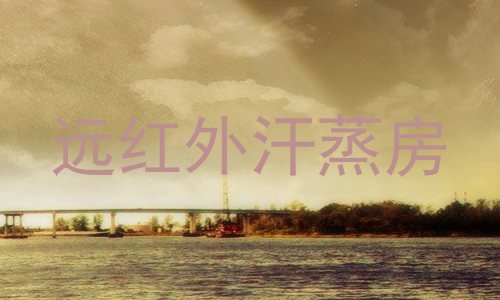 远红外汗蒸房