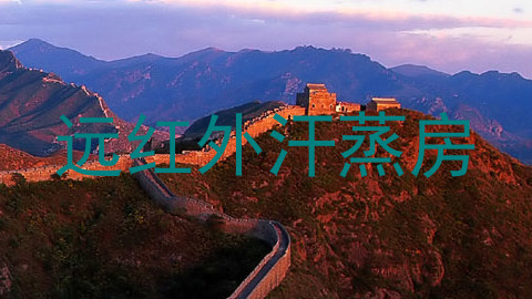 远红外汗蒸房
