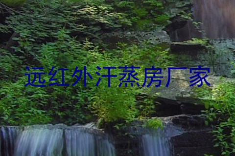 远红外汗蒸房厂家