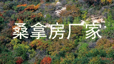 桑拿房厂家