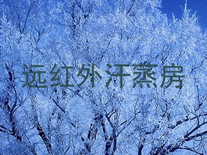 远红外汗蒸房