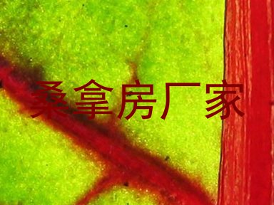 桑拿房厂家