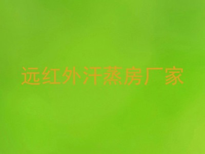 远红外汗蒸房厂家