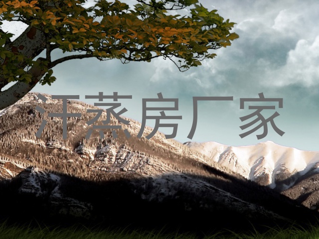 汗蒸房厂家