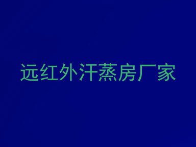 远红外汗蒸房厂家