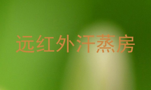 远红外汗蒸房