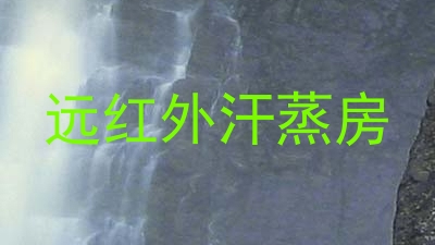 远红外汗蒸房
