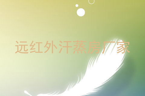 远红外汗蒸房厂家