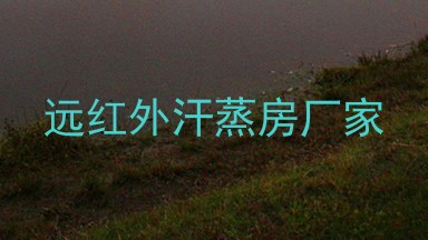 远红外汗蒸房厂家