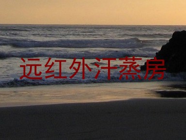 远红外汗蒸房