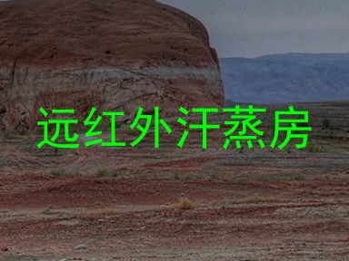远红外汗蒸房