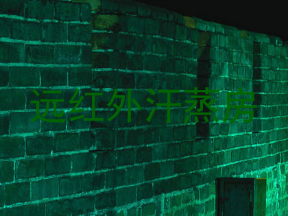 远红外汗蒸房
