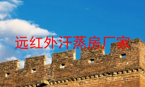 远红外汗蒸房厂家