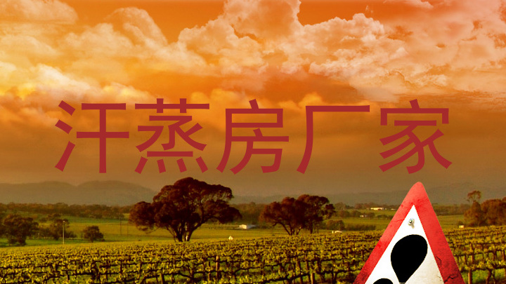 汗蒸房厂家