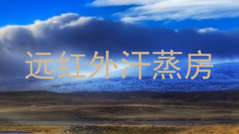 远红外汗蒸房