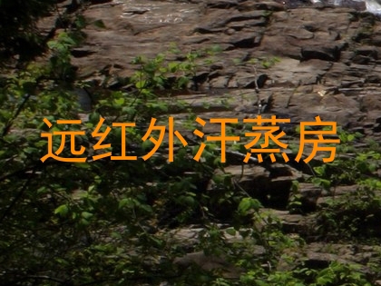 远红外汗蒸房