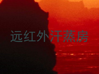 远红外汗蒸房