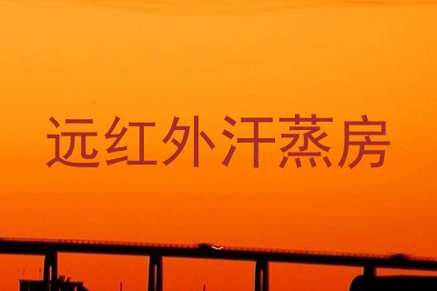 远红外汗蒸房