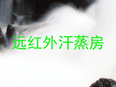 远红外汗蒸房