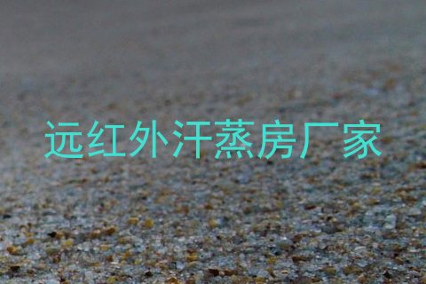 远红外汗蒸房厂家