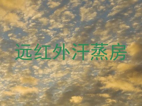 远红外汗蒸房