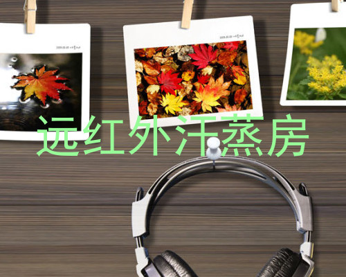 远红外汗蒸房