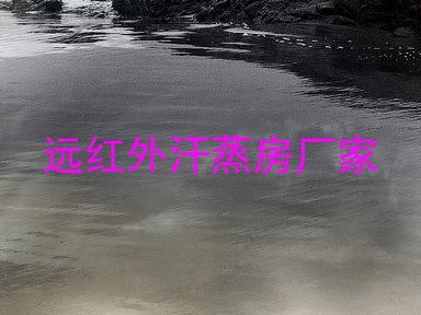 远红外汗蒸房厂家