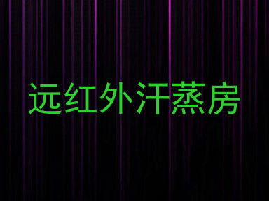 远红外汗蒸房