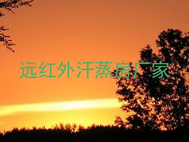 远红外汗蒸房厂家