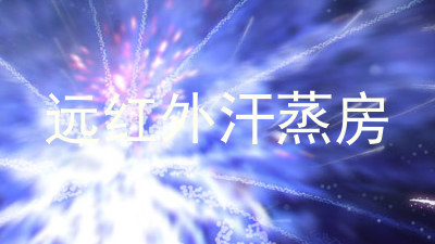 远红外汗蒸房