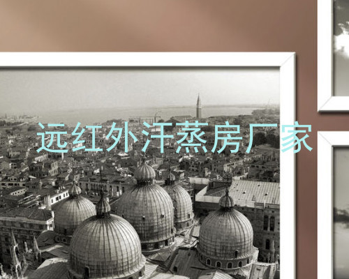 远红外汗蒸房厂家