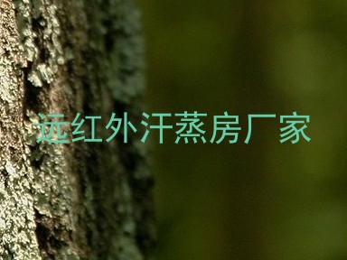 远红外汗蒸房厂家