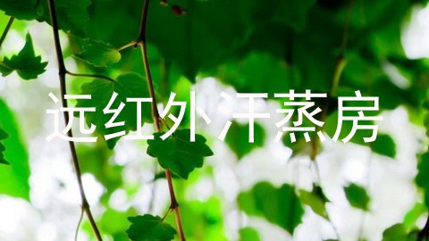 远红外汗蒸房