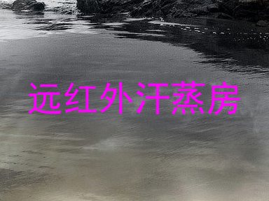 远红外汗蒸房