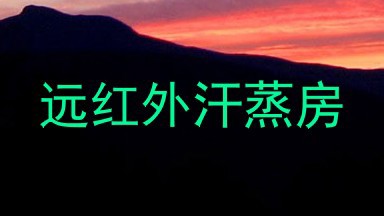远红外汗蒸房