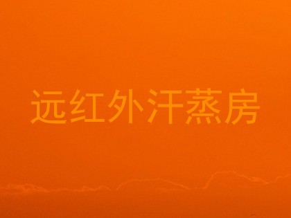 远红外汗蒸房
