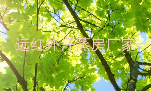 远红外汗蒸房厂家