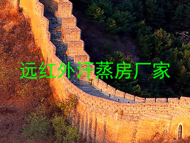 远红外汗蒸房厂家