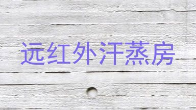 远红外汗蒸房