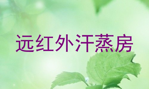 远红外汗蒸房