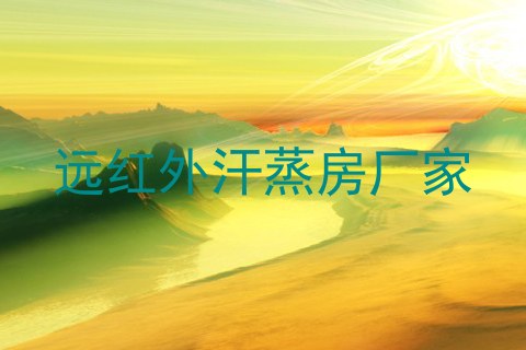 远红外汗蒸房厂家