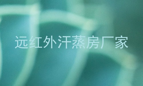 远红外汗蒸房厂家