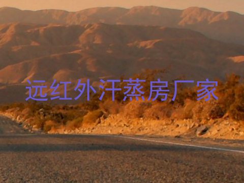 远红外汗蒸房厂家