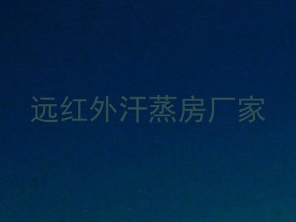 远红外汗蒸房厂家